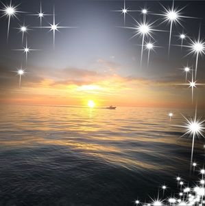 Meet your Posher, Janette